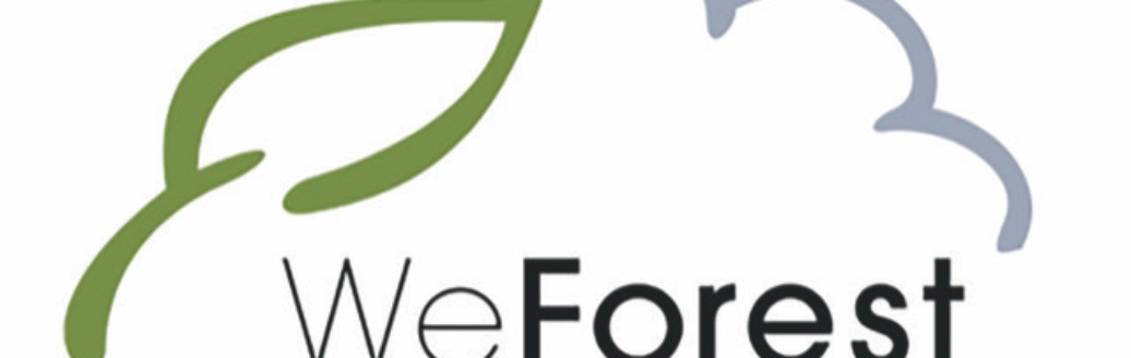 We Forest Logo