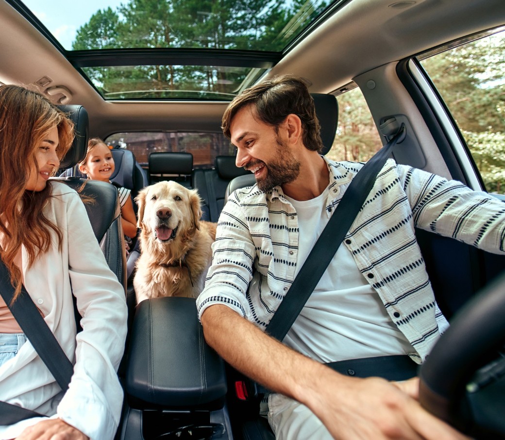 Eine junge Familie, fotografiert aus der Perspektive des Autocockpits, sitzt angeschnallt Auto und haben ihren goldbeigen Hund auf der Rückbank mit dabei.