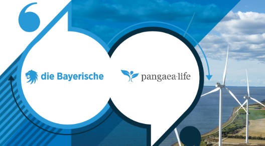 Titelgrafik für eine gemeinsame Kampagne von "die Bayerische" und "Pangaea Life"