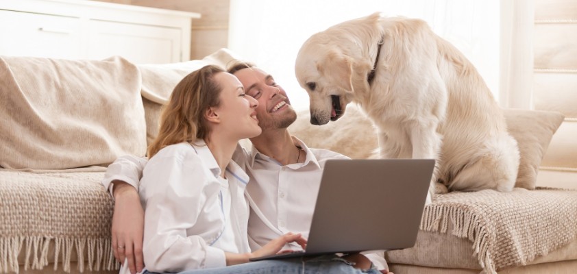 Junges Paar lächelt Hund an, während es auf dem Laptop eine Hundehaftpflichtversicherung abschließt.