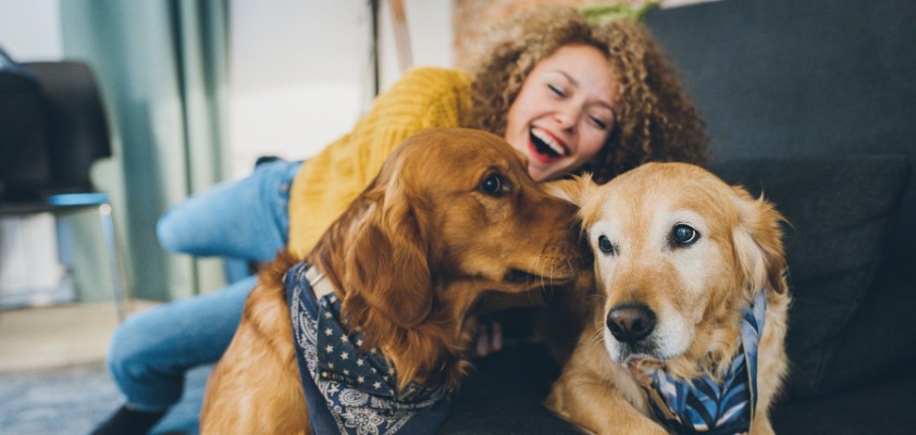 Eine junge Frau spielt glücklich mit ihren zwei Hunden