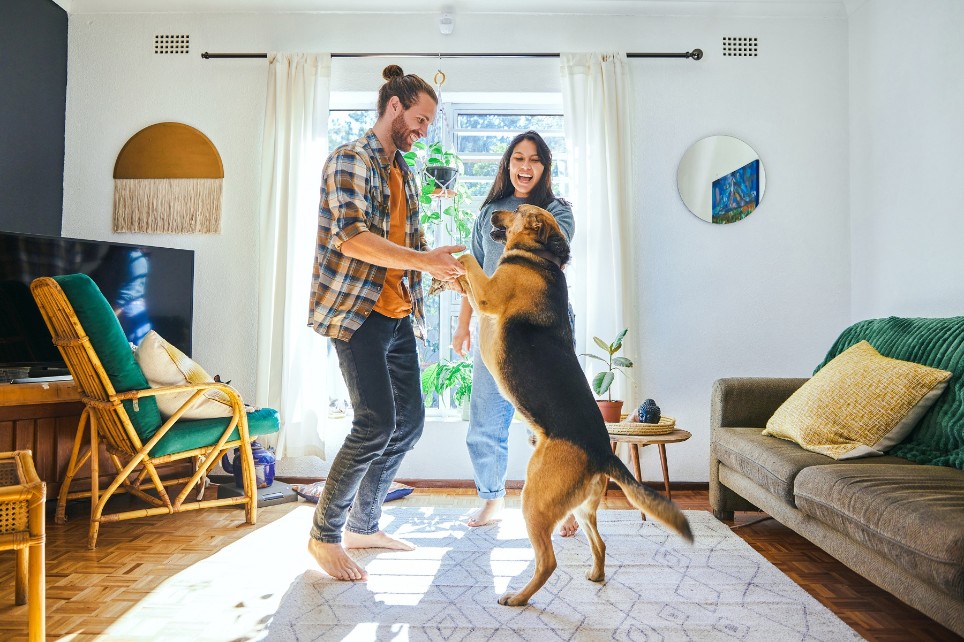 Junges Paar spielt wild mit Schäferhund in der Wohnung