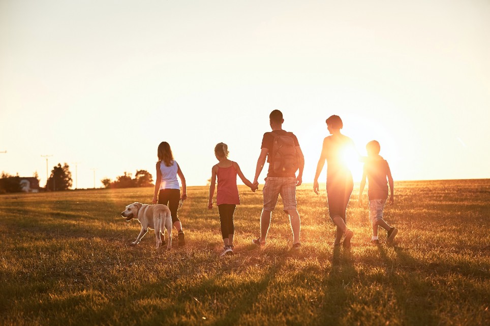 Urlaub auf dem Land, Familie mit Hund wandert über ein Feld im Sonnenuntergang