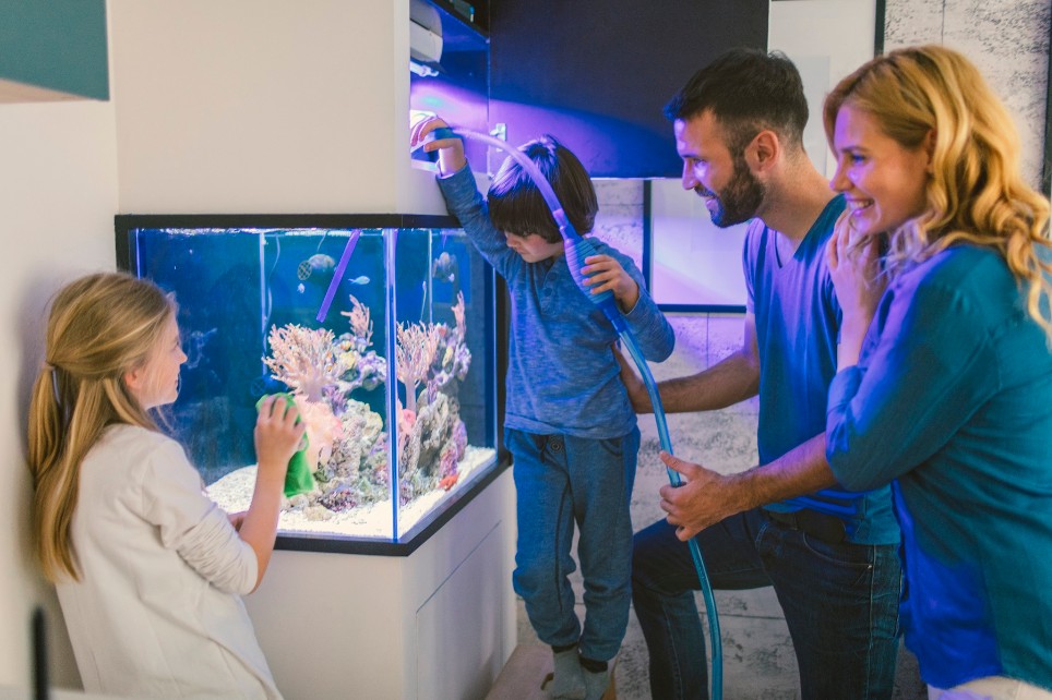 Vierköpfige Familie reinigt ihr Aquarium.