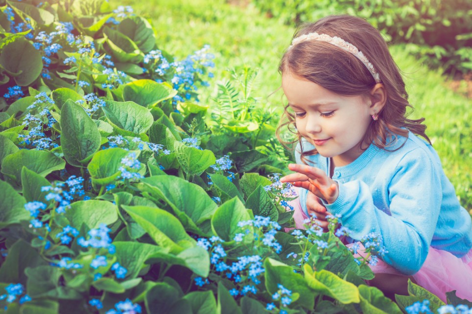 Kinder vor giftigen Pflanzen richtig schützen