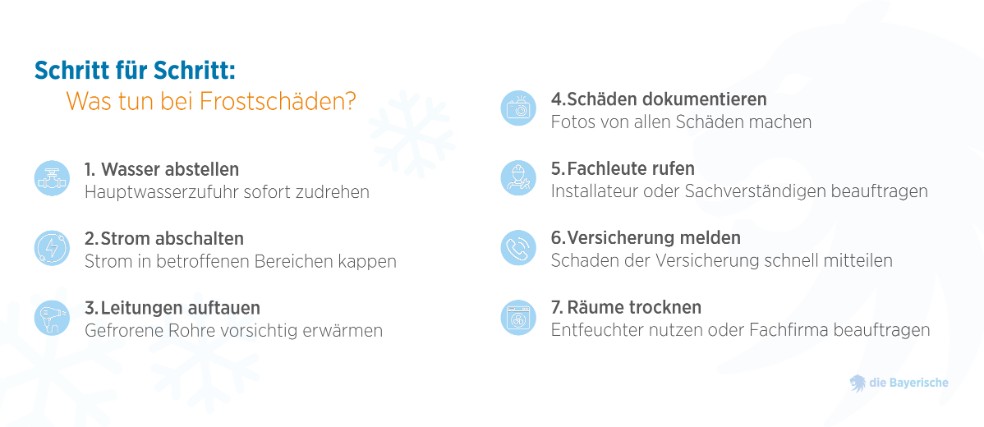 Die Grafik zeigt eine Schritt-für-Schritt-Anleitung, was bei Frostschäden zu tun ist, einschließlich Wasser abstellen, Strom abschalten, Leitungen auftauen, Schäden dokumentieren, Fachleute rufen, Versicherung melden und Räume trocknen.