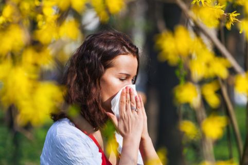 Diebayerische News Hilfe Bei Heuschnupfen Und Anderen Allergien